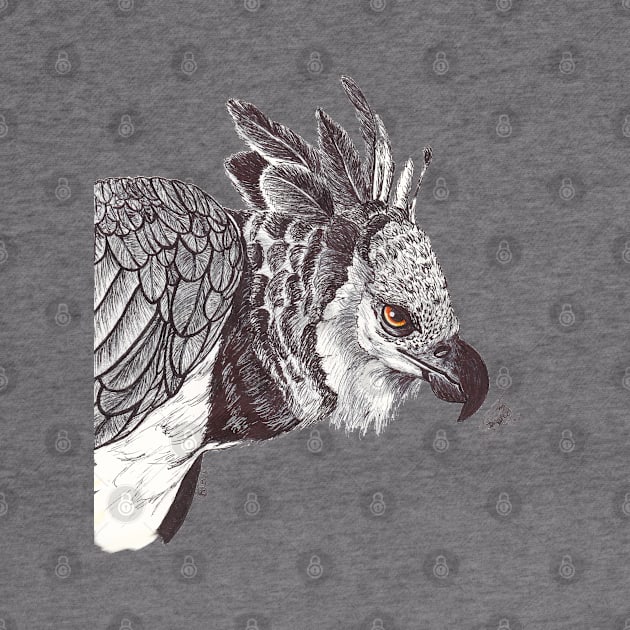 Harpy Eagle by BeritValk